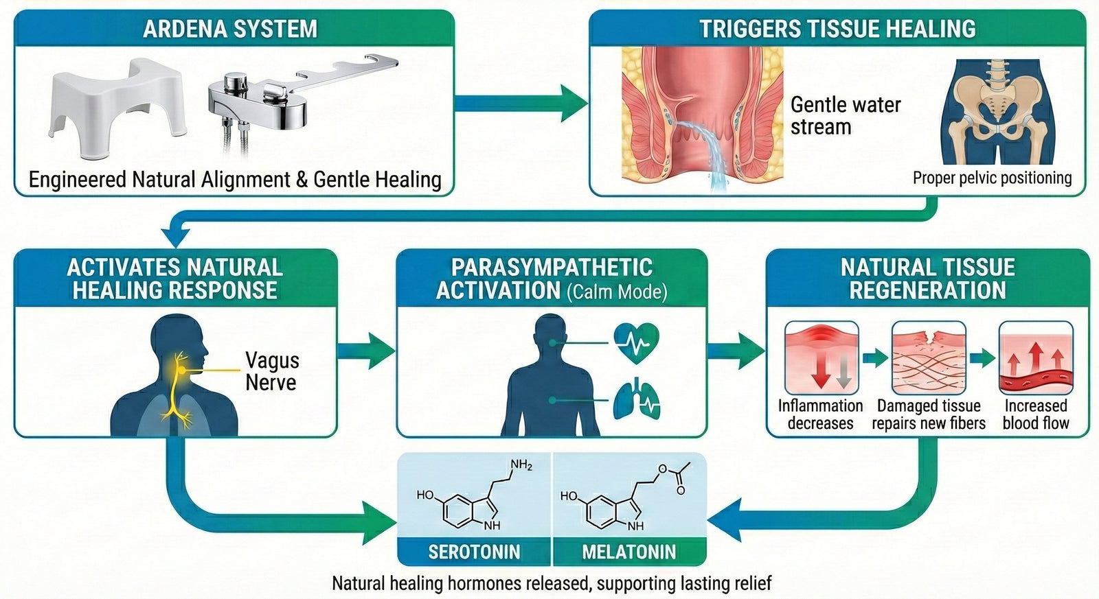 Reason #2: Ardena's 2-Part System Rebuilds Your Body's Natural Function From the Inside Out